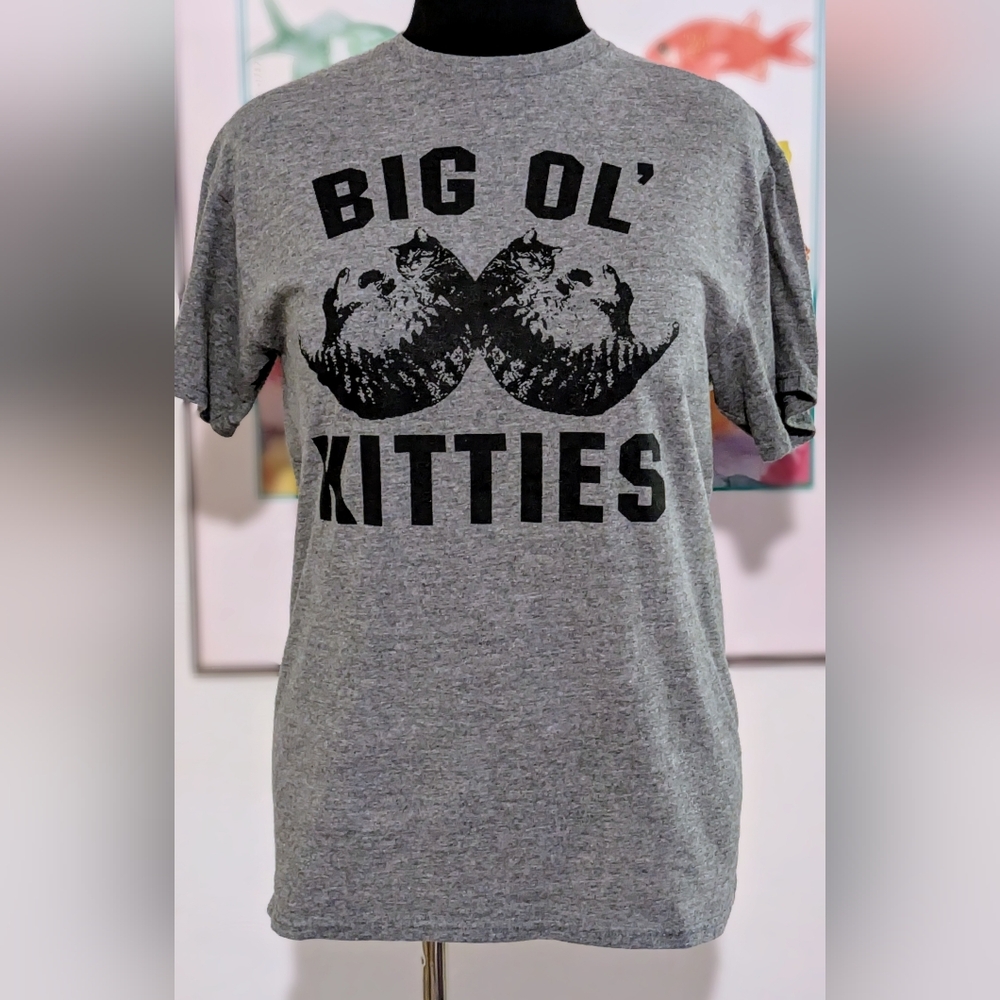 Gray Graphic Big Ol' Kitties T-Shirt Medium